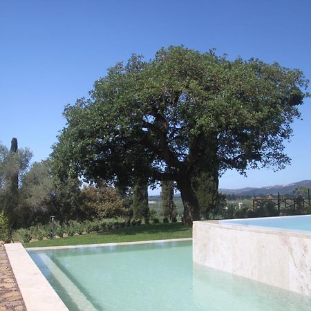 Agriturismo Il Broletto Suvereto Exteriör bild