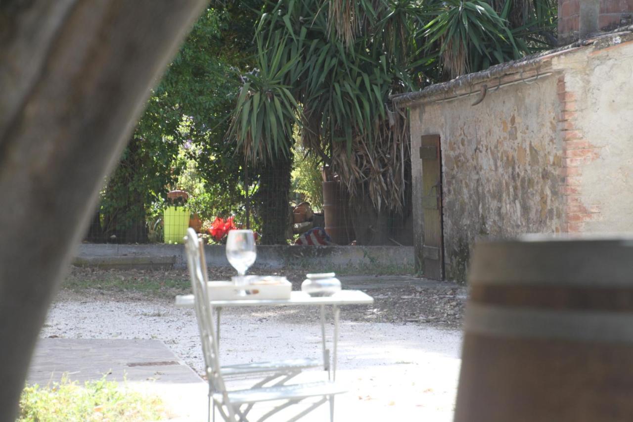 Agriturismo Il Broletto Suvereto Exteriör bild