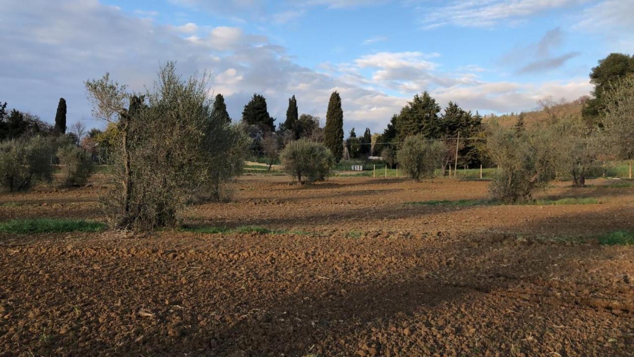 Agriturismo Il Broletto Suvereto Exteriör bild